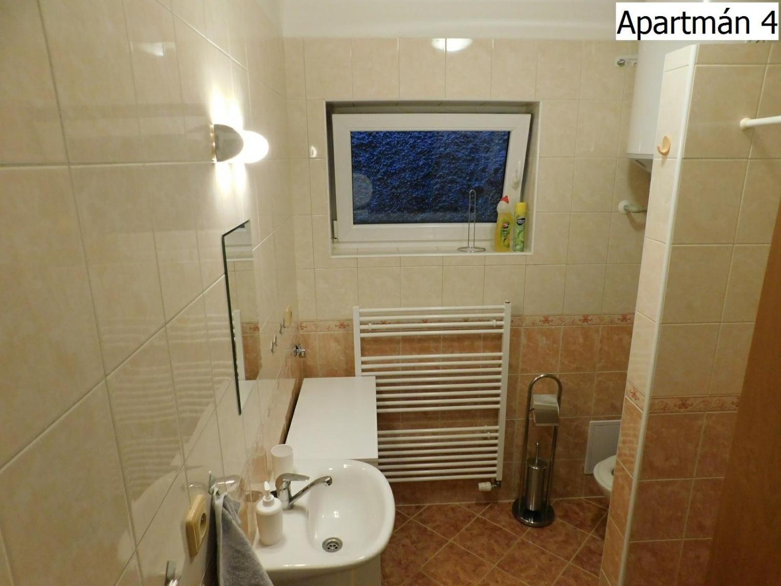 Apartmany Horní Planá エクステリア 写真